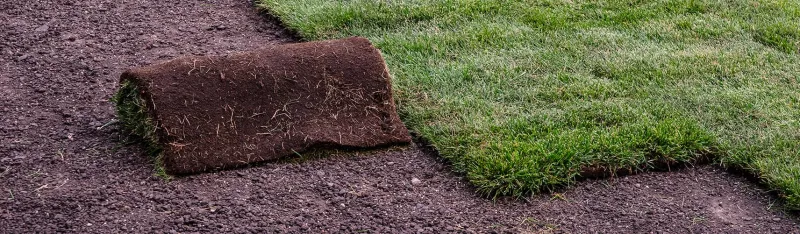Murrieta Landscaping Company, Lawn Care Services and Landscaper